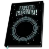 Abysse Bagages Et Papeterie<Cahier Harry Potter Patronus
