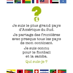 Janod Découvrir Le Monde<Coffret Educatif Cherche Et Trouve - Les Drapeaux