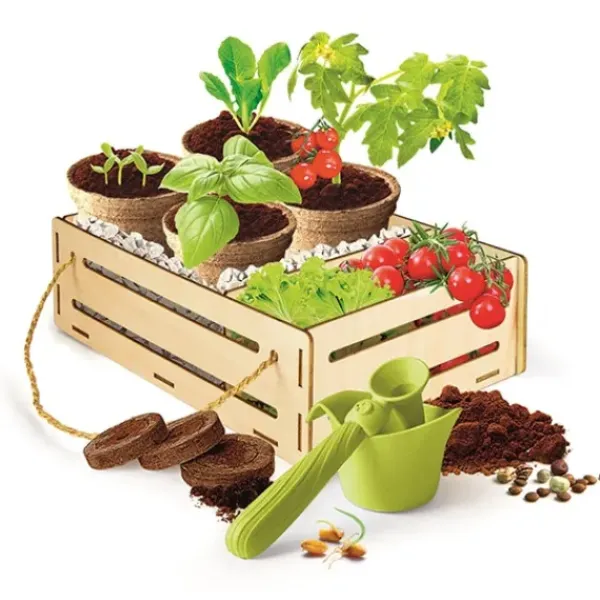 Clementoni Découverte De La Nature<Coffret Jardin Et Potager - Play For Future