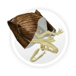 Buki Jeux Scientifiques<Dino Surprise Box