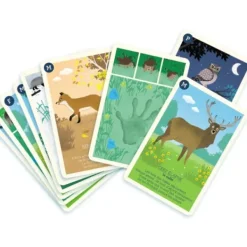 Diset Découverte De La Nature<Jeu De 9 Familles Foret