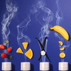 Sentosphere Premiers Apprentissages<Le Loto Des Odeurs
