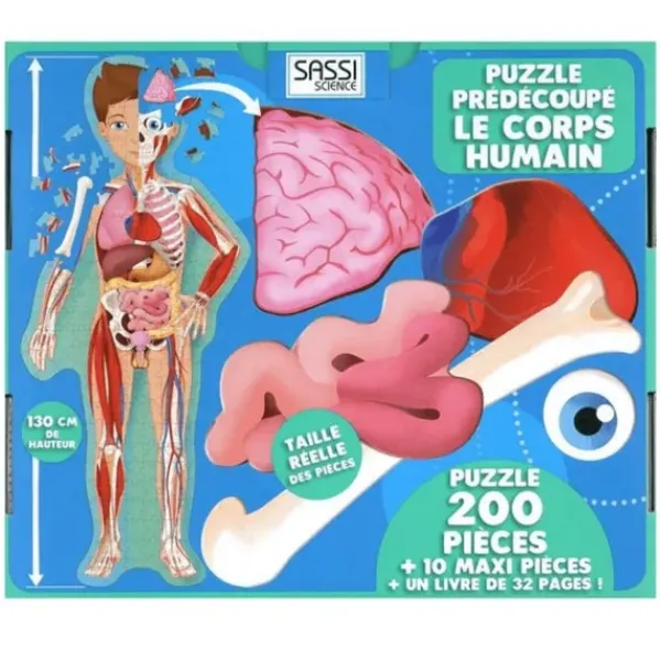 Sassi Junior Découvrir Le Monde<Livre Le Corps Humain En 2D - Voyage, Découvre, Explore