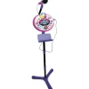 VTech Micros Et Karaoké<Micro Kidi Superstar Lightshow Rose