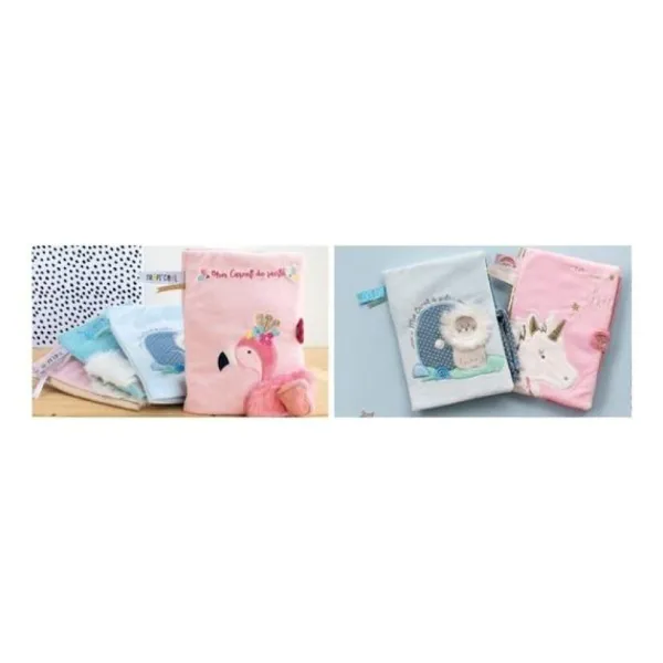 Doudou Et Compagnie Coffret Cadeaux, Naissance<Protege Carnet De Sante