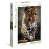 Clementoni Puzzles Adultes<Puzzle 1000 Pieces Jaguar