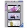 Ravensburger Puzzles Adultes<Puzzle 3X500 Triptyque Ambiance Zen