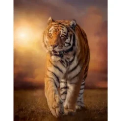 Clementoni Puzzle 1500 À 3000 Pièces<Puzzles 1500 Pieces - Tigre