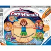 Ravensburger Ordinateurs Et Jeux Interactifs<Tiptoi® - A La Découverte Du Corps Humain